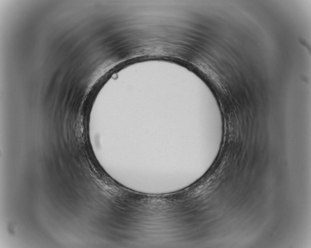 X0000097801070200804110918