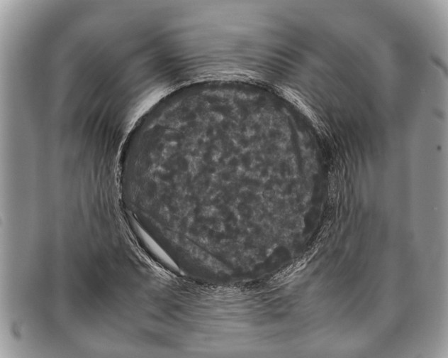 X0000097801071200804110918