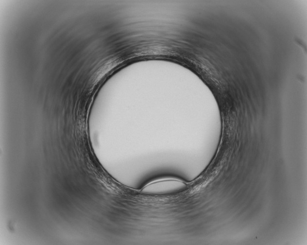 X0000097801073200804110918