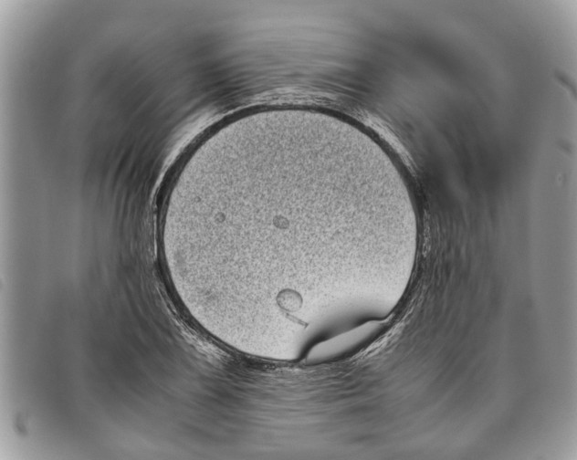 X0000097801075200804110918