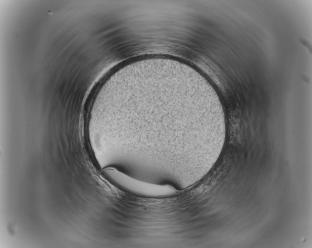 X0000097801076200804110918