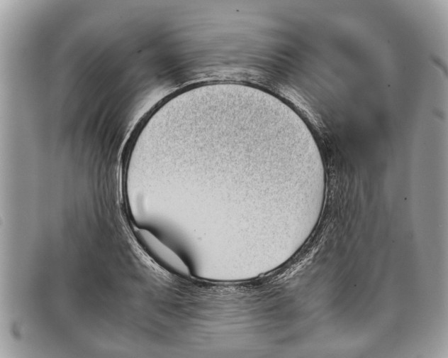 X0000097801079200804110918