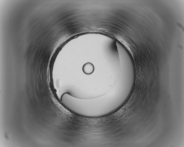 X0000097801080200804110918