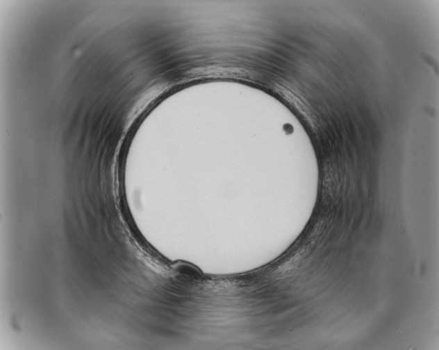 X0000097801082200804110918