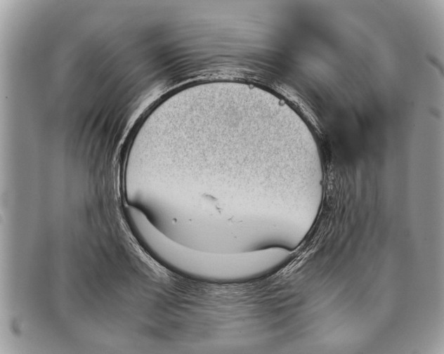 X0000097801083200804110918