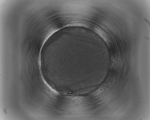 X0000097801084200804110918