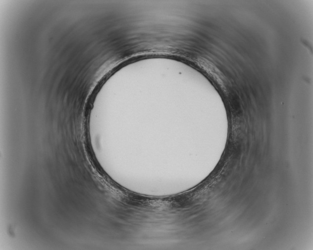 X0000097801085200804110918