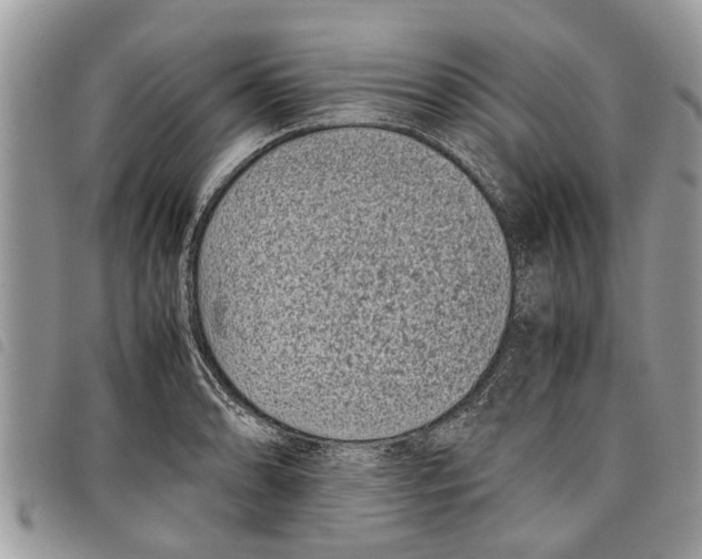 X0000097801086200804110918