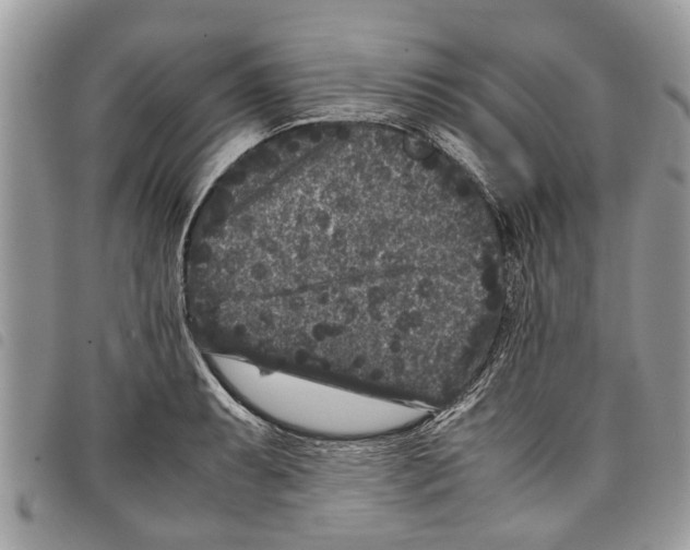 X0000097801087200804110918