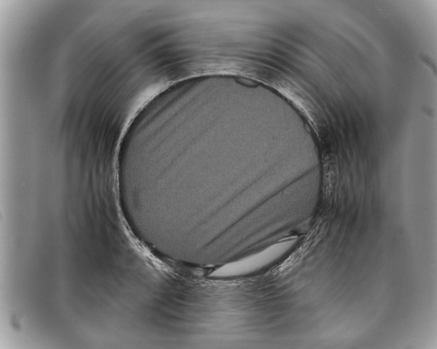 X0000097801088200804110918