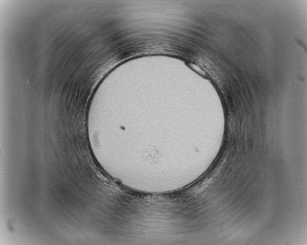 X0000097801089200804110918