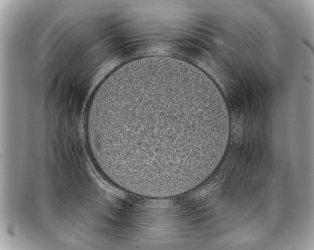 X0000097801090200804110918