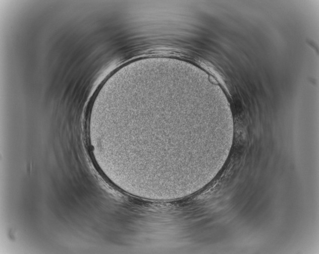 X0000097801091200804110918