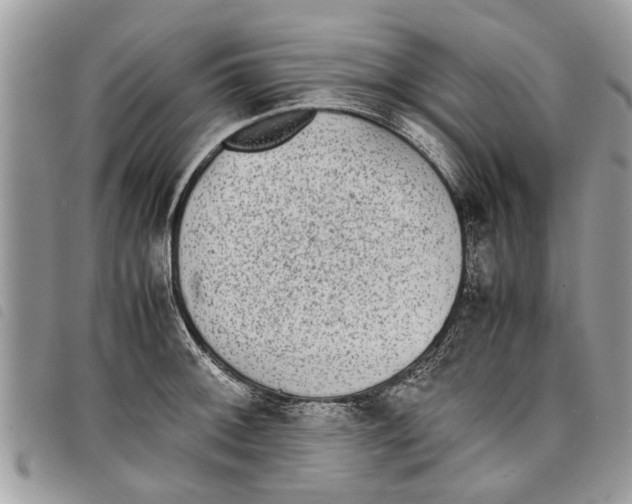 X0000097801092200804110918