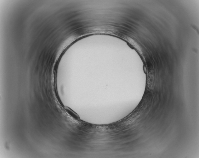 X0000097801096200804110918