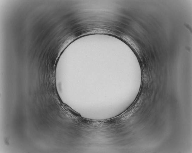 X0000097801097200804110918