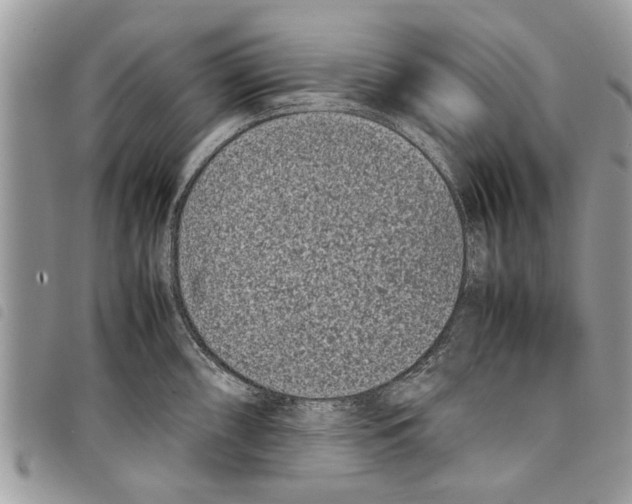 X0000097801098200804110918