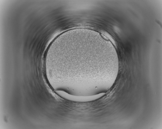 X0000097801099200804110918