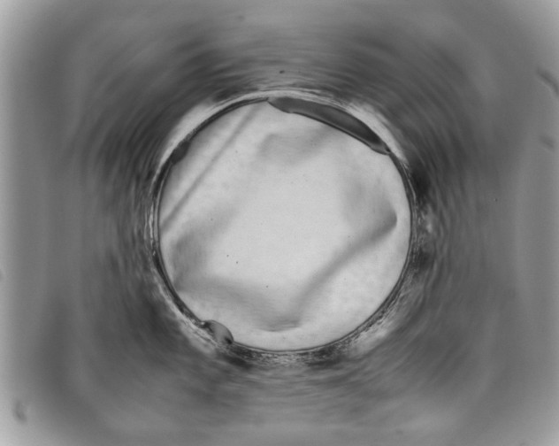 X0000097801101200804110918