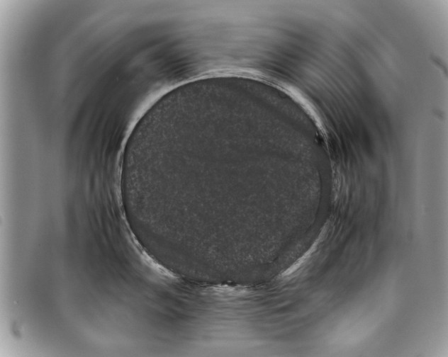 X0000097801102200804110918