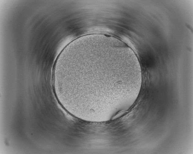 X0000097801103200804110918