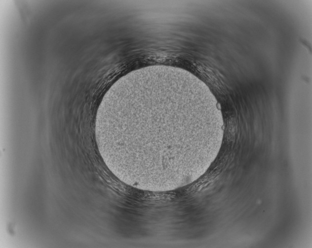 X0000097801105200804110917