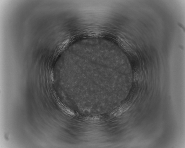 X0000097801106200804110917