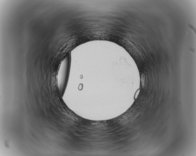 X0000097801107200804110917