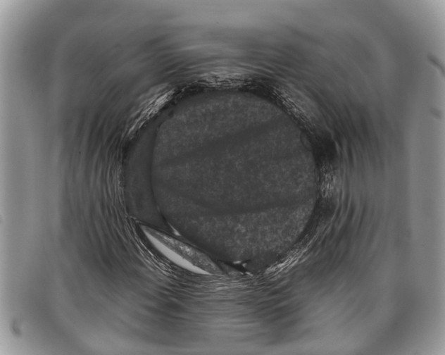 X0000097801108200804110917