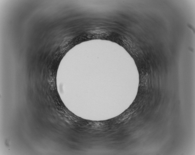 X0000097801109200804110917