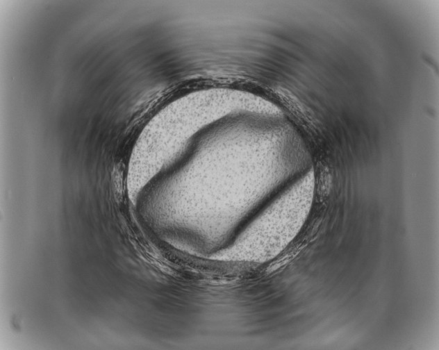 X0000097801110200804110917