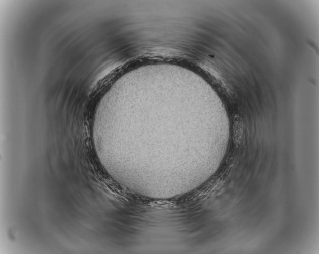 X0000097801112200804110917