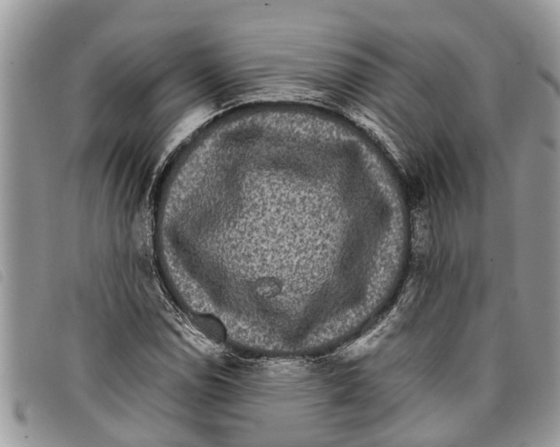 X0000097801114200804110917