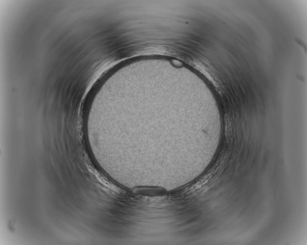 X0000097801116200804110917