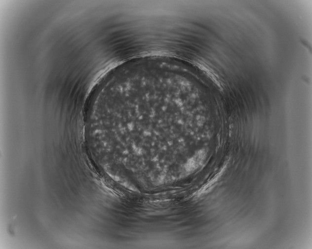 X0000097801117200804110917