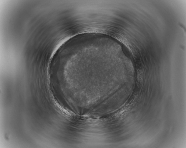 X0000097801120200804110917