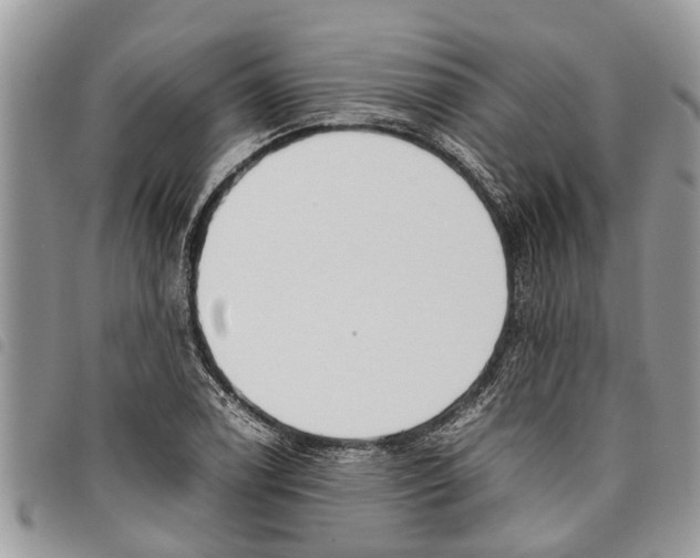 X0000097801122200804110917