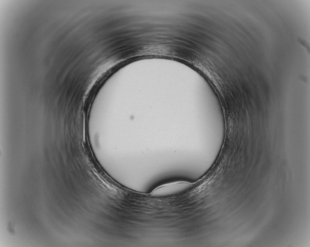 X0000097801123200804110917