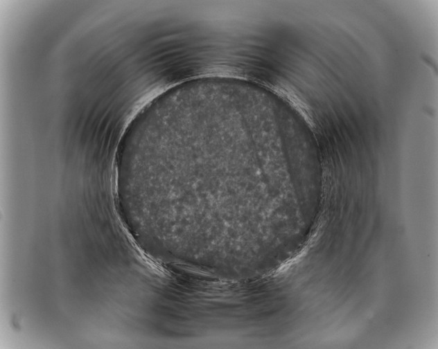 X0000097801125200804110917