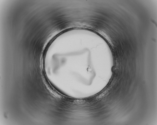 X0000097801128200804110917