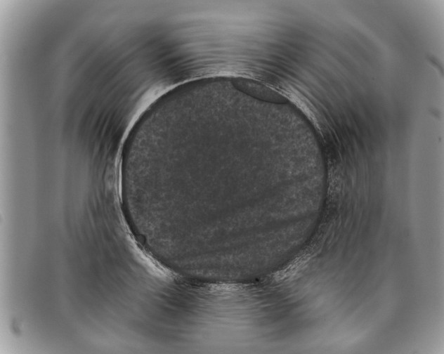 X0000097801132200804110917