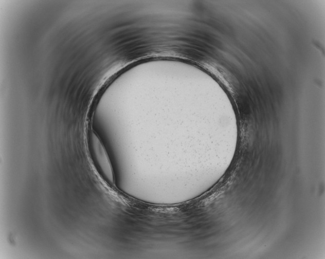 X0000097801133200804110917