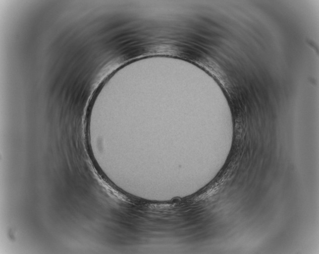 X0000097801135200804110917