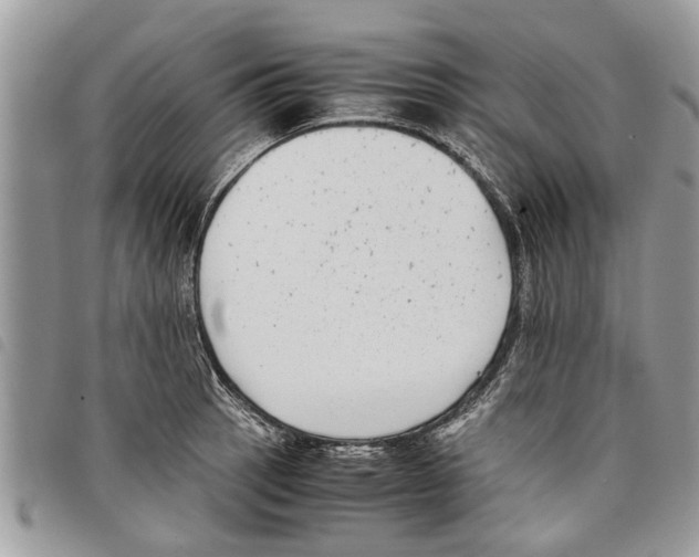 X0000097801137200804110917