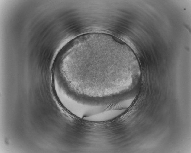 X0000097801144200804110917