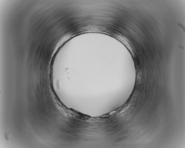 X0000097801146200804110917