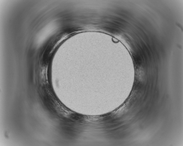 X0000097801150200804110917