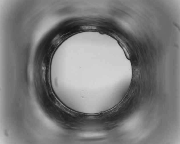 X0000097801151200804110917