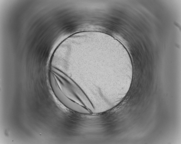 X0000097801152200804110917