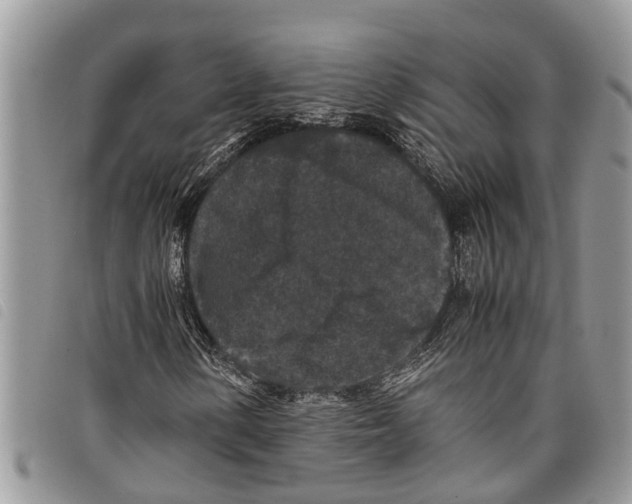 X0000097801154200804110917